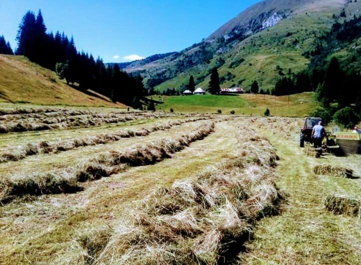 プラヴ Isov Ranchヴィラ エクステリア 写真
